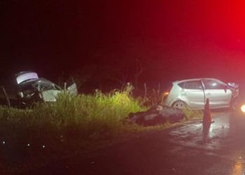 Animal solto em rodovia estadual provoca acidente com morte no município de Lagarto
