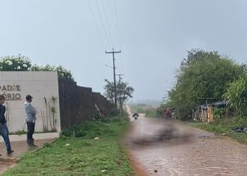 TRÊS ANIMAIS MORREM ELETROCUTADOS CAUSADO POR LIGAÇÃO CLANDESTINA DE ENERGIA